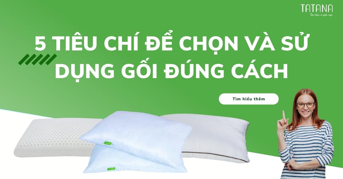 5 tiêu chí để chọn và sử dụng chiếc gối đúng cách