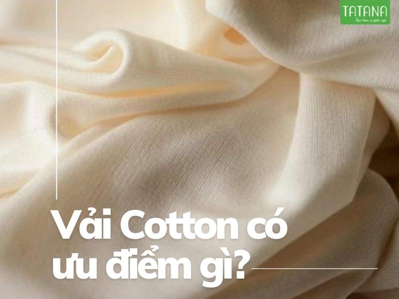 8 Bộ chăn ga gối cotton mát mẻ vào mùa hè