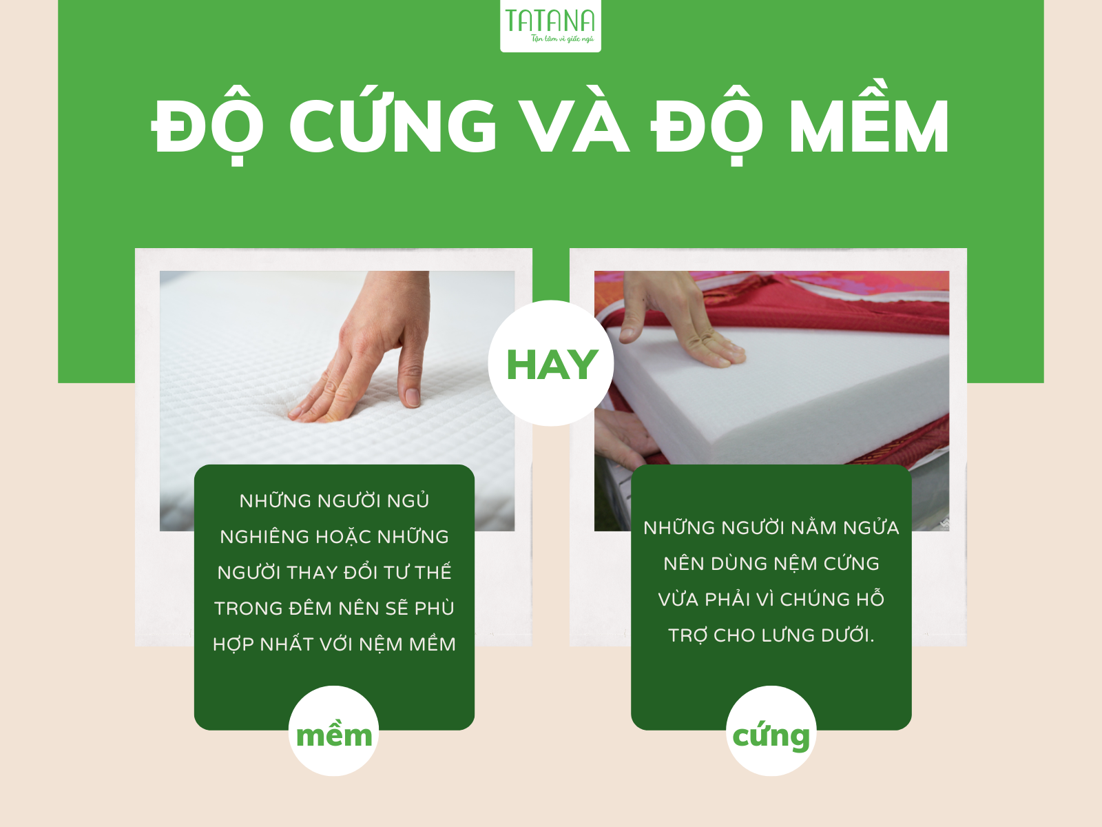 Hướng dẫn mua nệm: Cách chọn mua nệm cho người mới