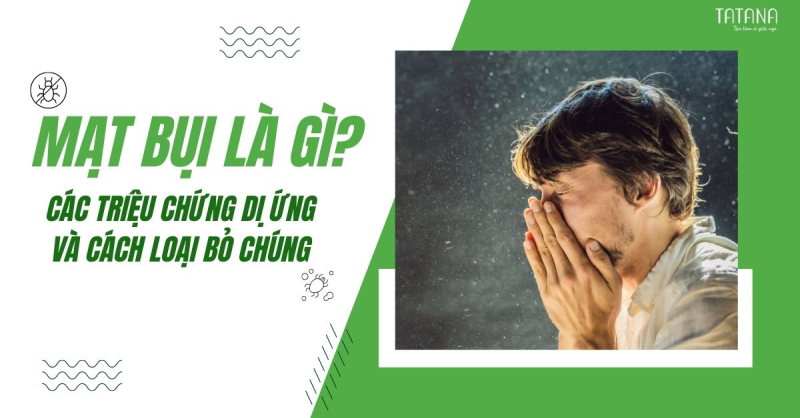 Mạt bụi là gì? Các triệu chứng dị ứng và cách loại bỏ chúng