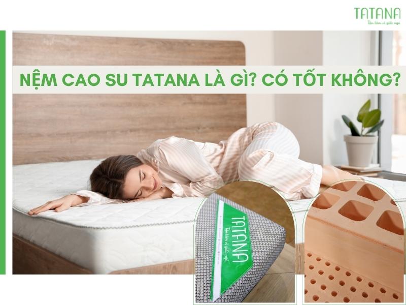 Nệm cao su giá rẻ chính hãng, chất lượng cao tại TPHCM