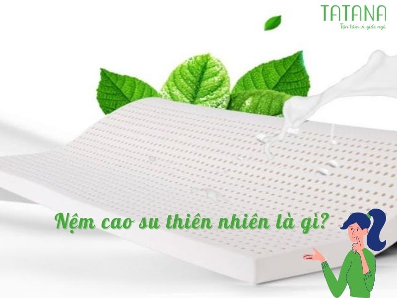 Nệm cao su thiên nhiên là gì? Vì sao lại được nhiều người ưa chuộng đến vậy?