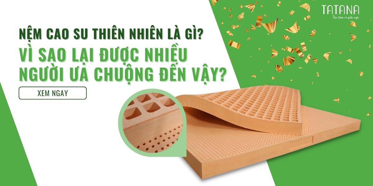 Nệm cao su thiên nhiên là gì? Vì sao lại được nhiều người ưa chuộng đến vậy?