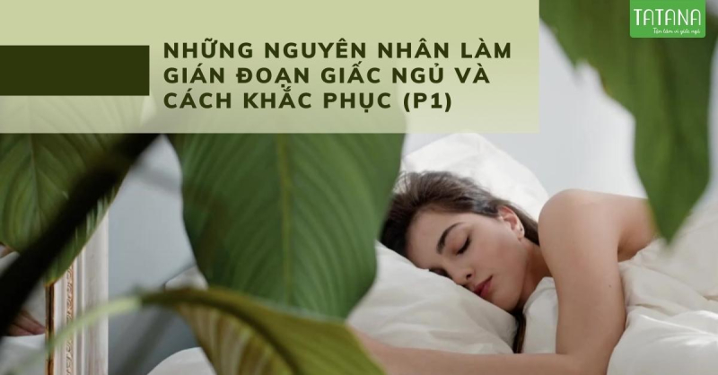 Những Nguyên nhân làm gián đoạn giấc ngủ và cách khắc phục (P1)