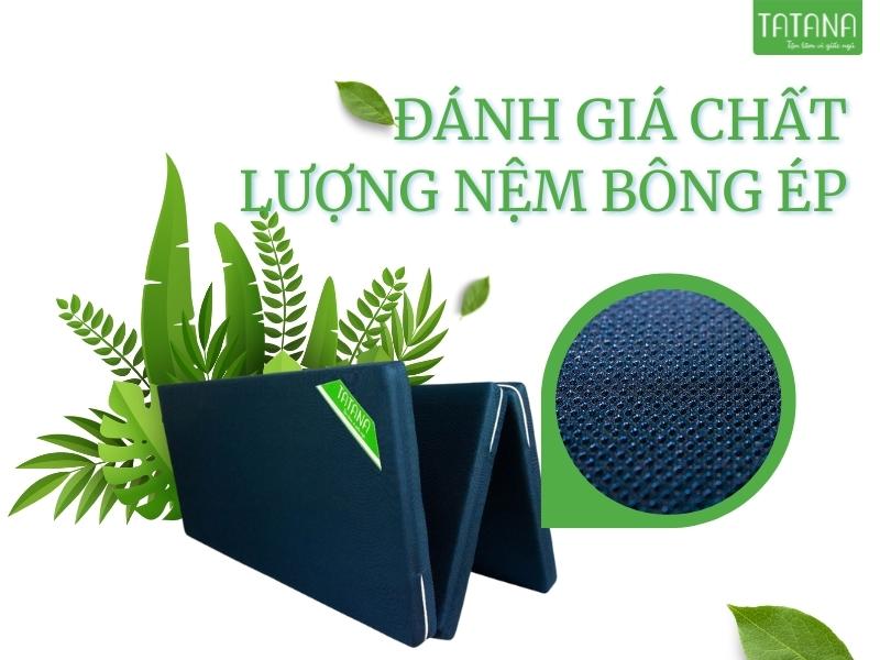 So sánh nệm bông ép và nệm foam, loại nào tốt hơn?