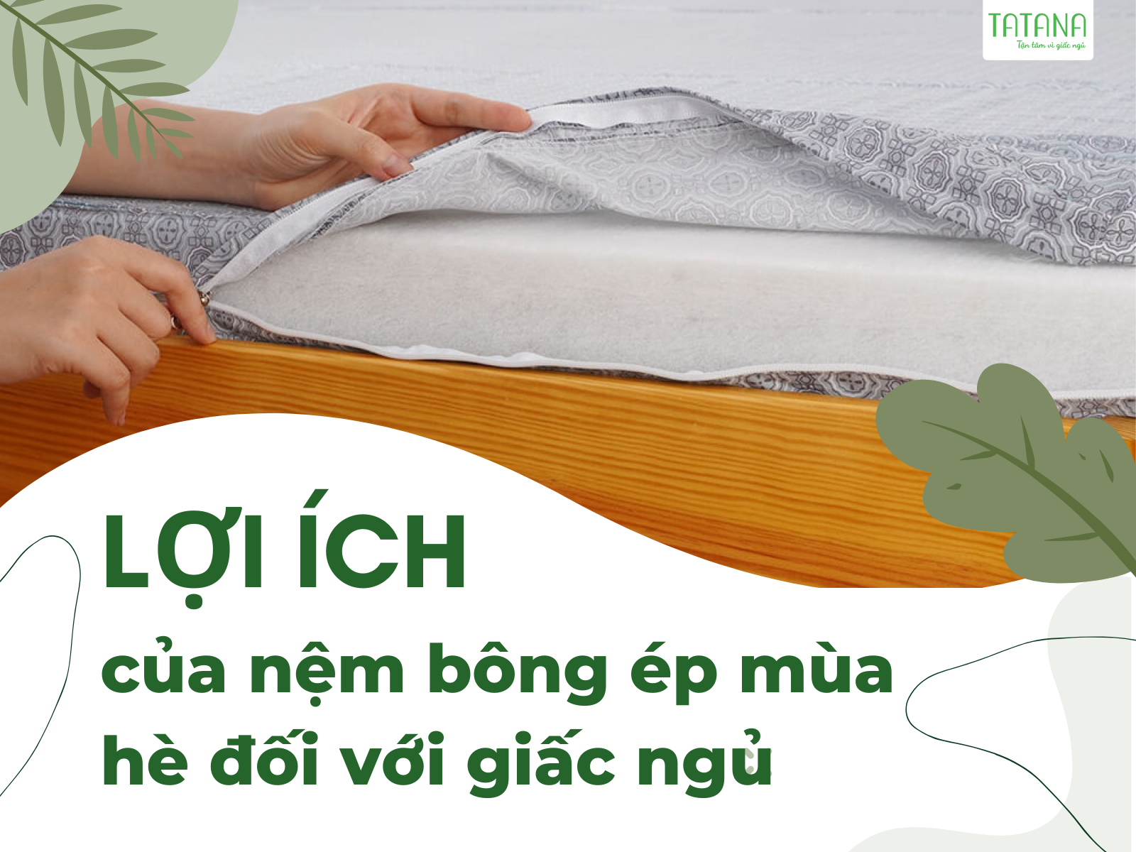 Tại sao nên chọn nệm bông ép mùa hè thay vì các loại nệm khác