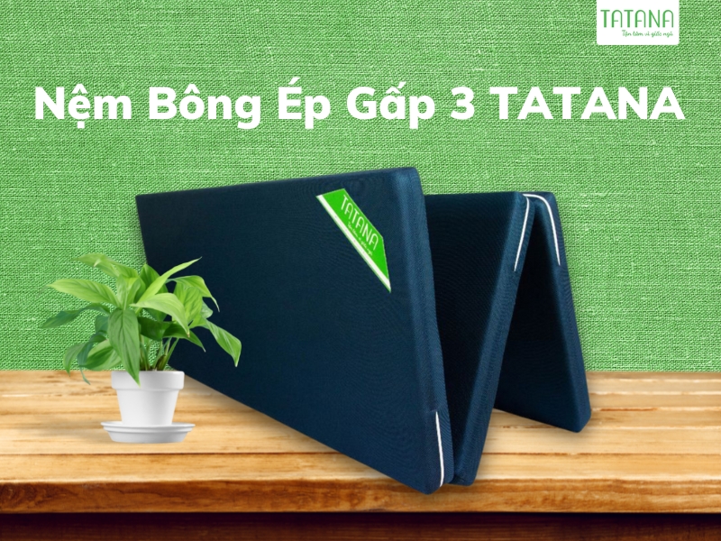 Tổng hợp nệm Tatana chính hãng, giá rẻ tại TP.HCM