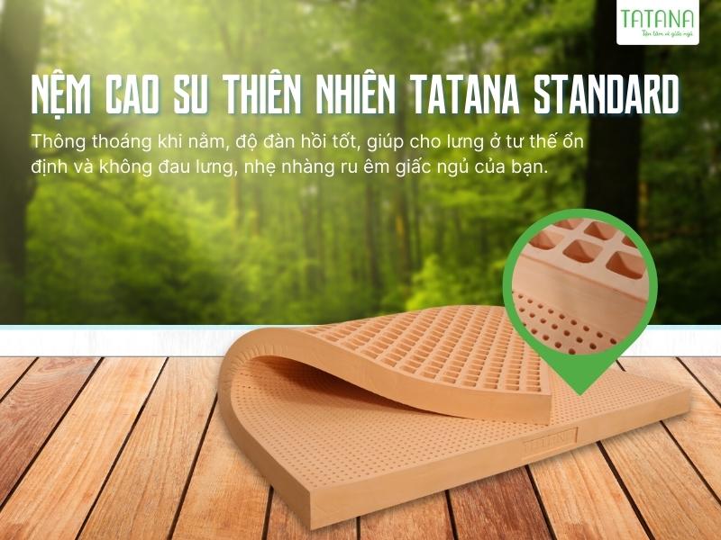 Tổng hợp nệm Tatana chính hãng, giá rẻ tại TP.HCM