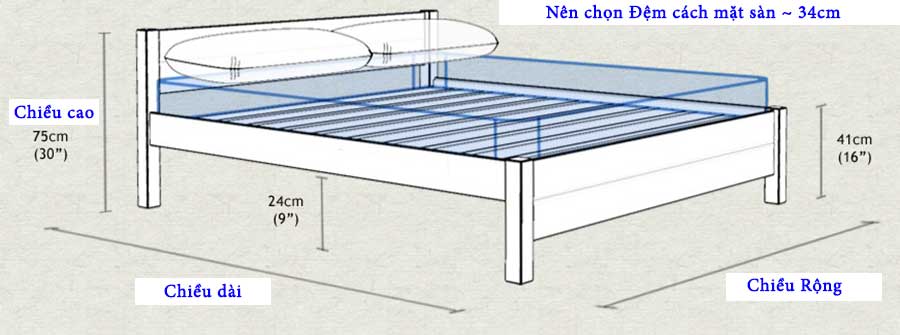 Tư Vấn Chọn Kích Thước Nệm