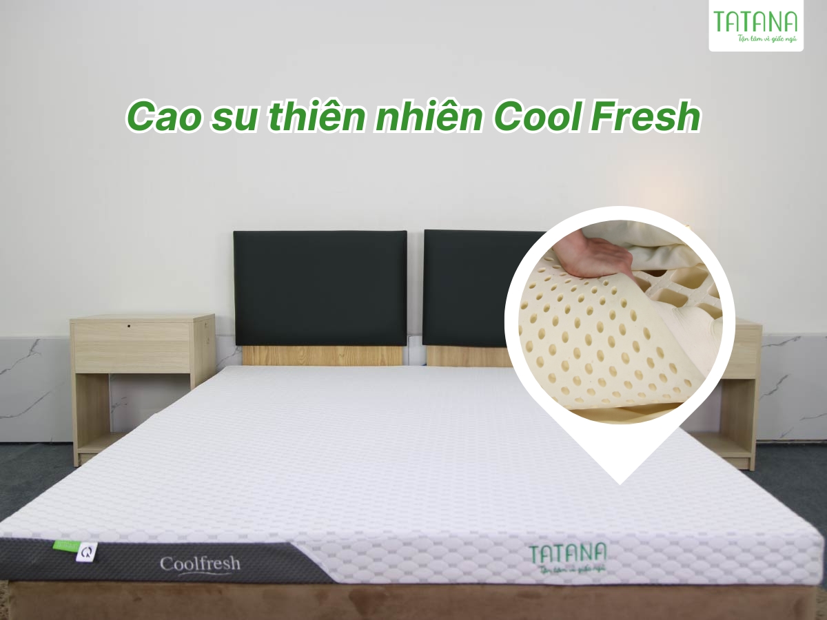 Nệm cao su Cool Fresh hỗ trợ nâng đỡ cột sống cho trẻ