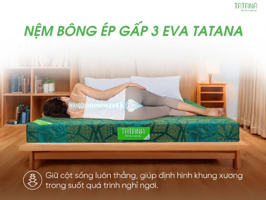 Nệm Bông Ép Gấp 3 Eva Tatana