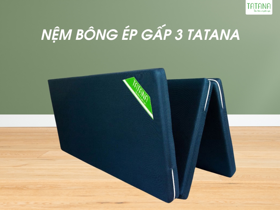 Nệm Bông Ép Gấp 3 Tatana