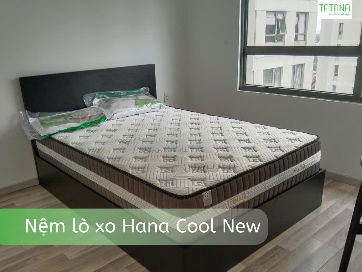 Nệm lò xo túi độc lập Hana Cool New thiết kế hiện đại