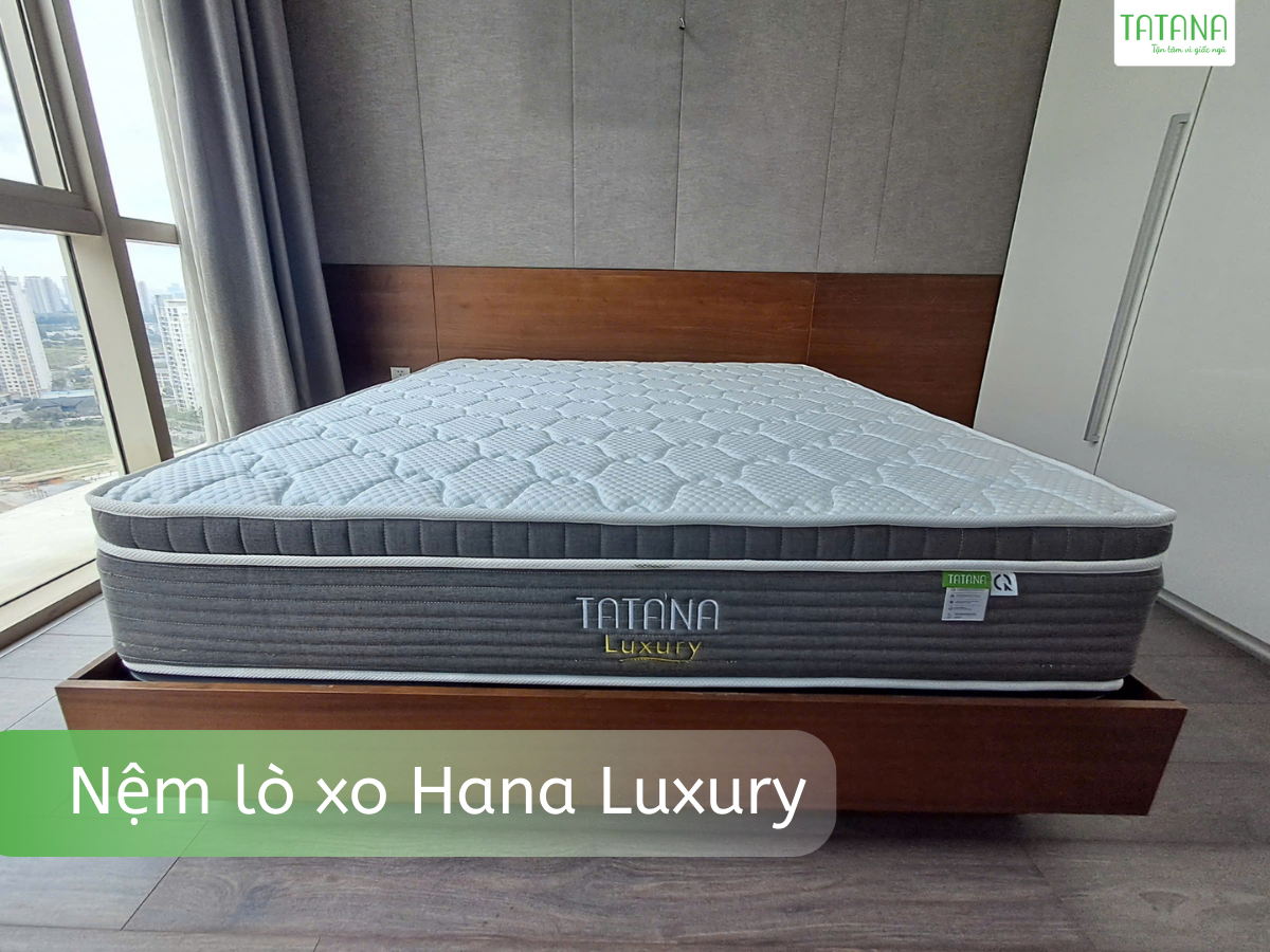 Nệm lò xo túi độc lập Hana Luxury